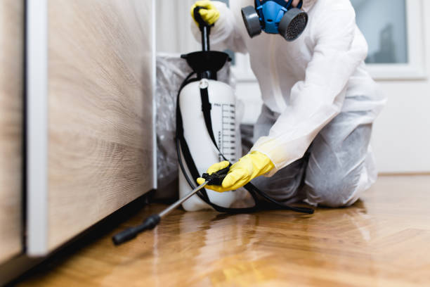 Best Emergency Pest Control  in Ravenna, OH
