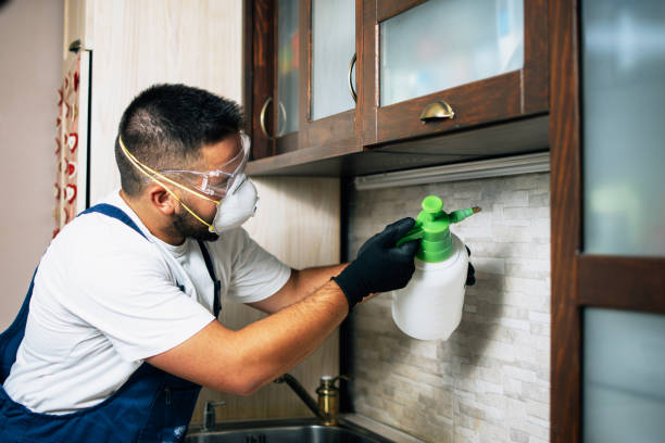 Best Local Pest Control Services  in Ravenna, OH