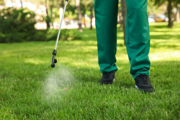 Flea Control Services in Ravenna, OH