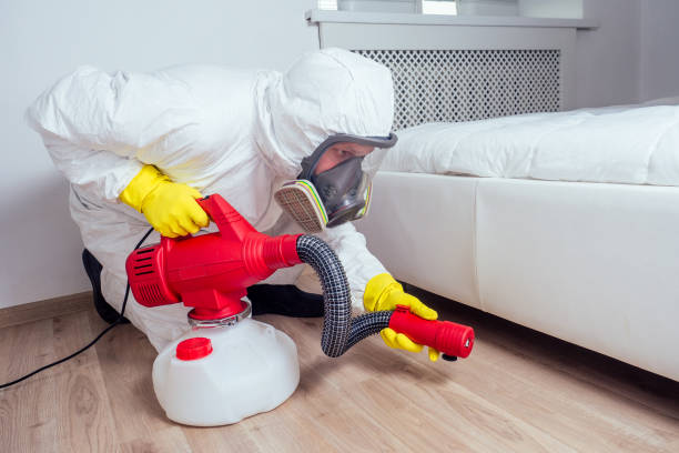 Best Flea Control Services  in Ravenna, OH