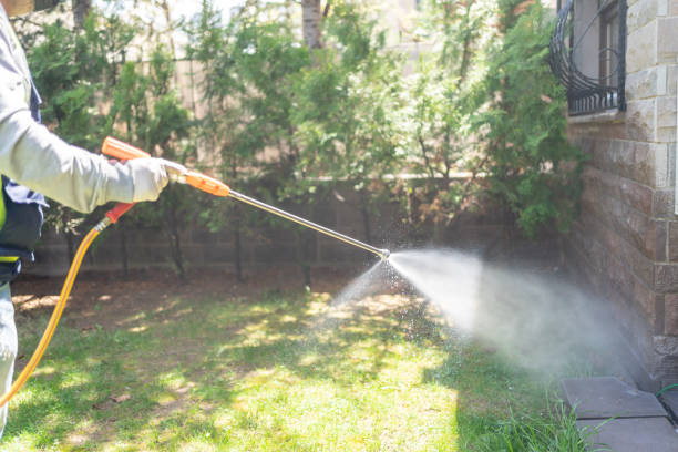 Best Termite Control Services  in Ravenna, OH