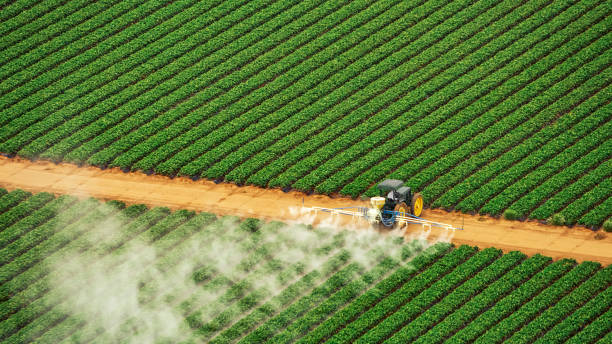 Best Mosquito Control Services  in Ravenna, OH