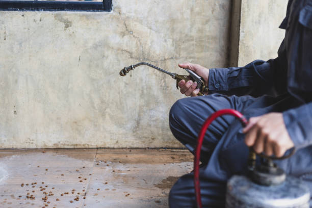 Best Exterminator Services  in Ravenna, OH